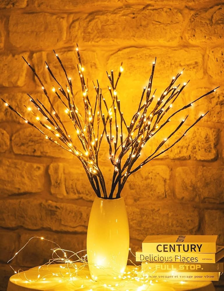 2 Pcs Lighted Branches, Branch Lights, Lighted Twigs, Twig Lights, Light Up Branches for Vase, Br... | Amazon (US)