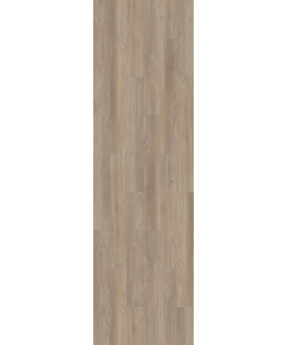 Shaw Hometown DG 2-mm T x 7-in W x 48-in L Waterproof Glue Down Luxury Vinyl Plank Flooring | Way... | Wayfair North America