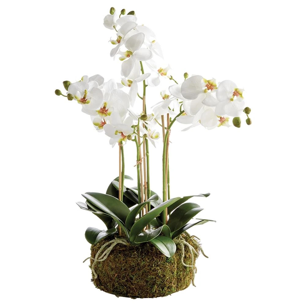 Angel French Country White Phalaenopsis Orchid Bowl Drop In Faux Floral | Kathy Kuo Home