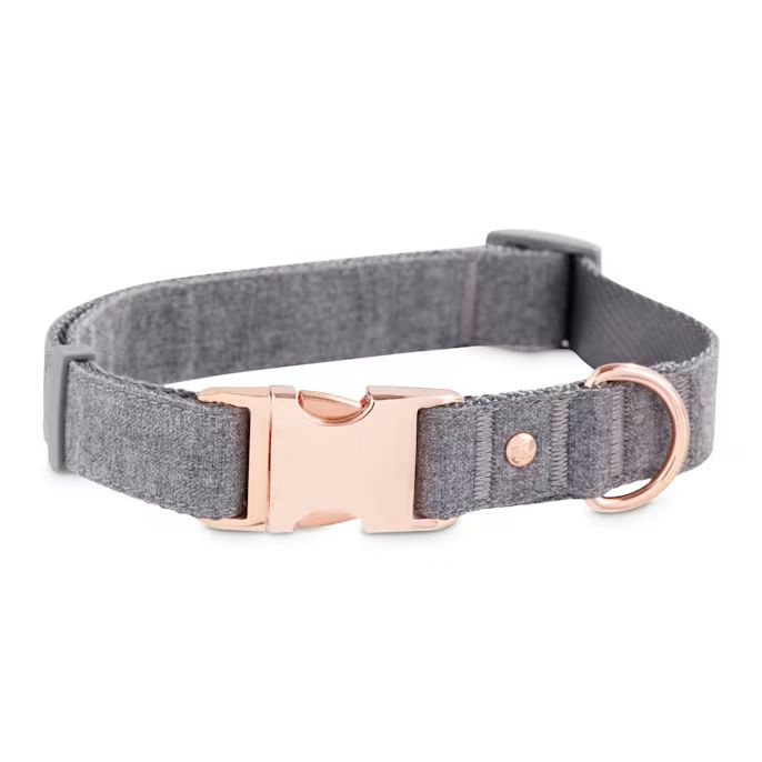 Bond & Co. Regal Rose Gold and Grey Dog Collar, Small | Petco | Petco