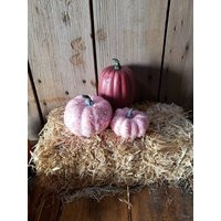 Pink & Mauve Pumpkins, Farmhouse Fall Decor, Autumn Tiered Tray Country, Thanksgiving, Mini Glitter 3Pc | Etsy (US)