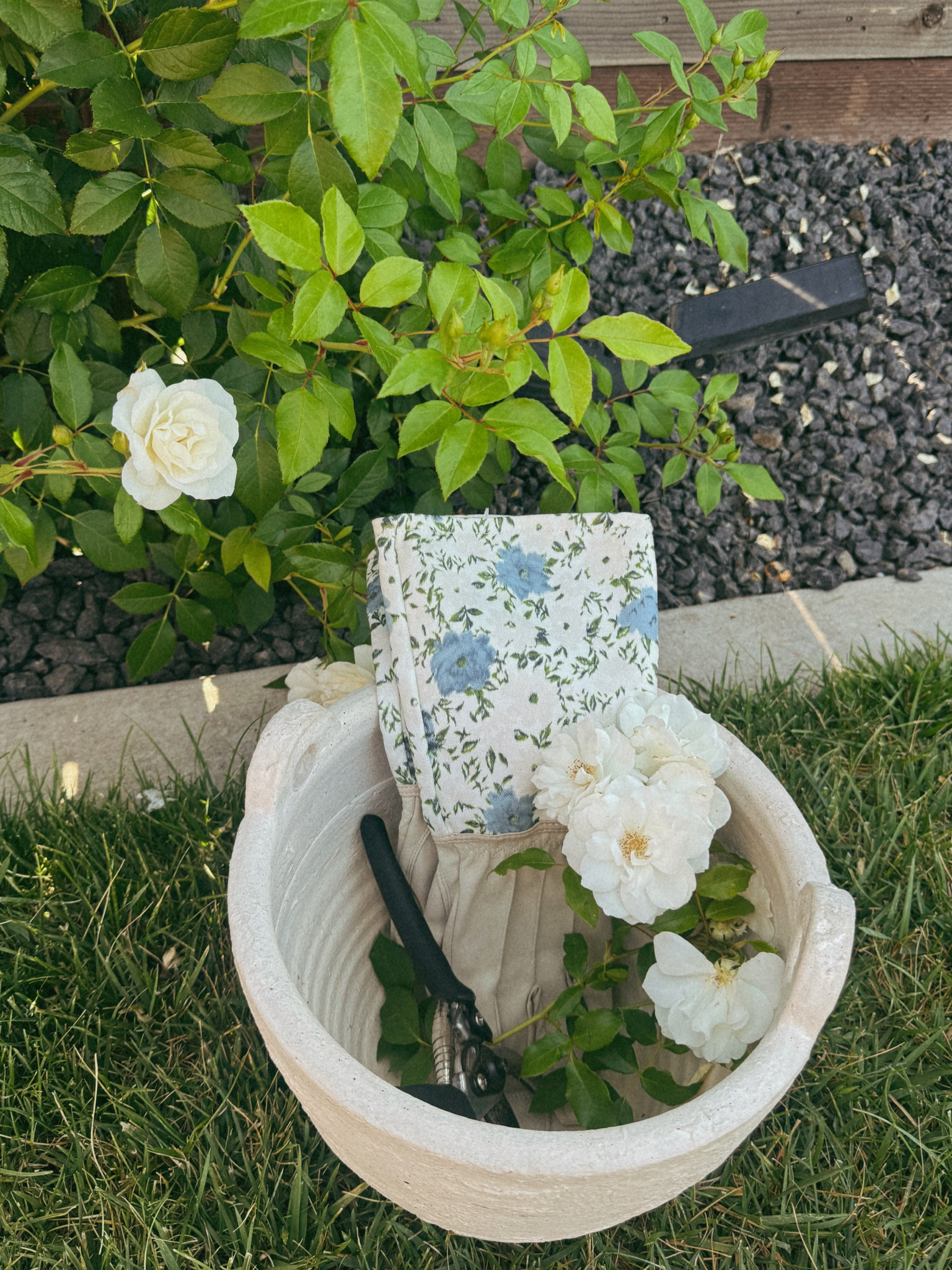 Gardening ✨

#LTKSeasonal #LTKdayinmylife #LTKmorningroutine
