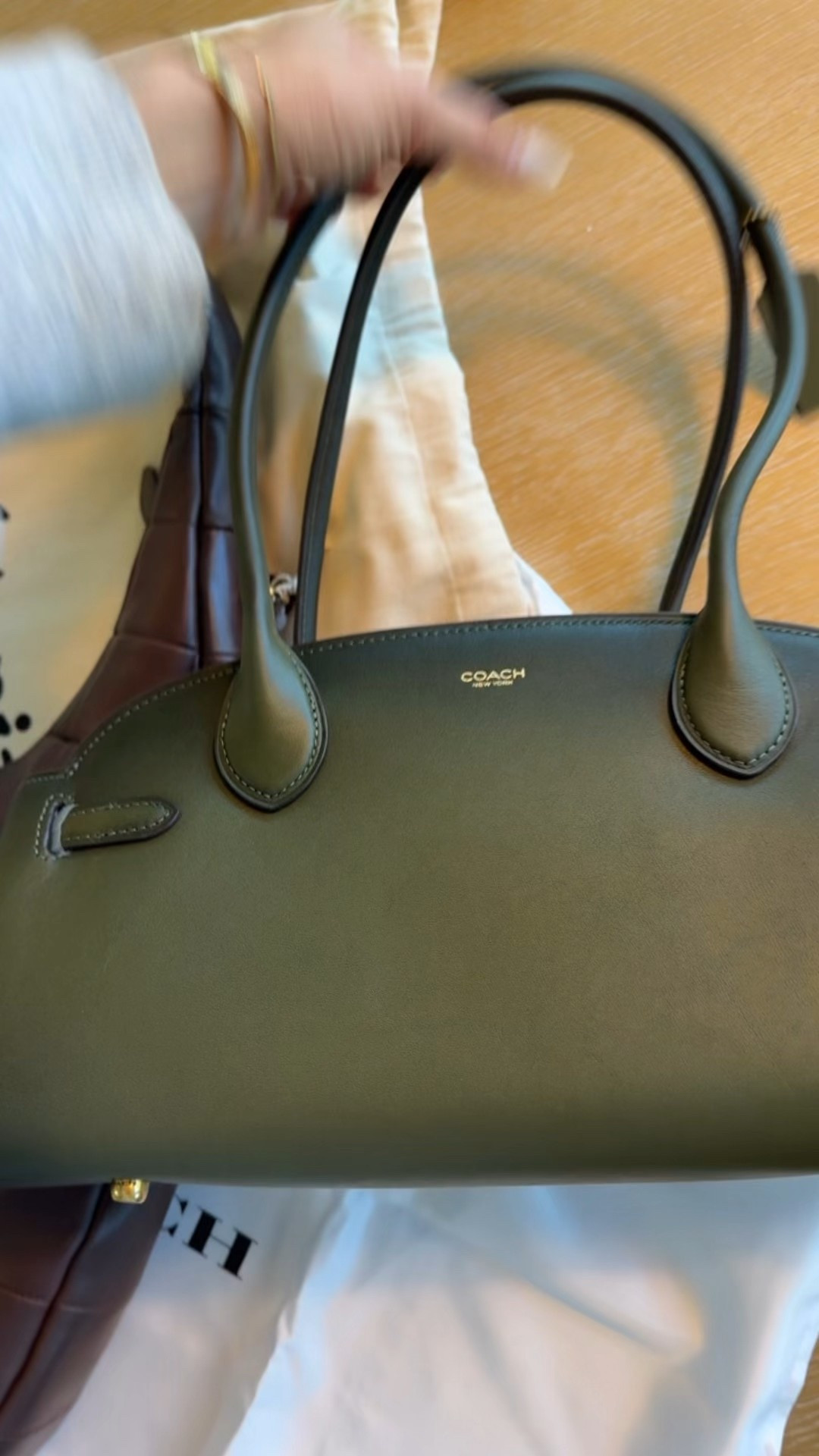 Fall bags from Coach I am loving! 🤩