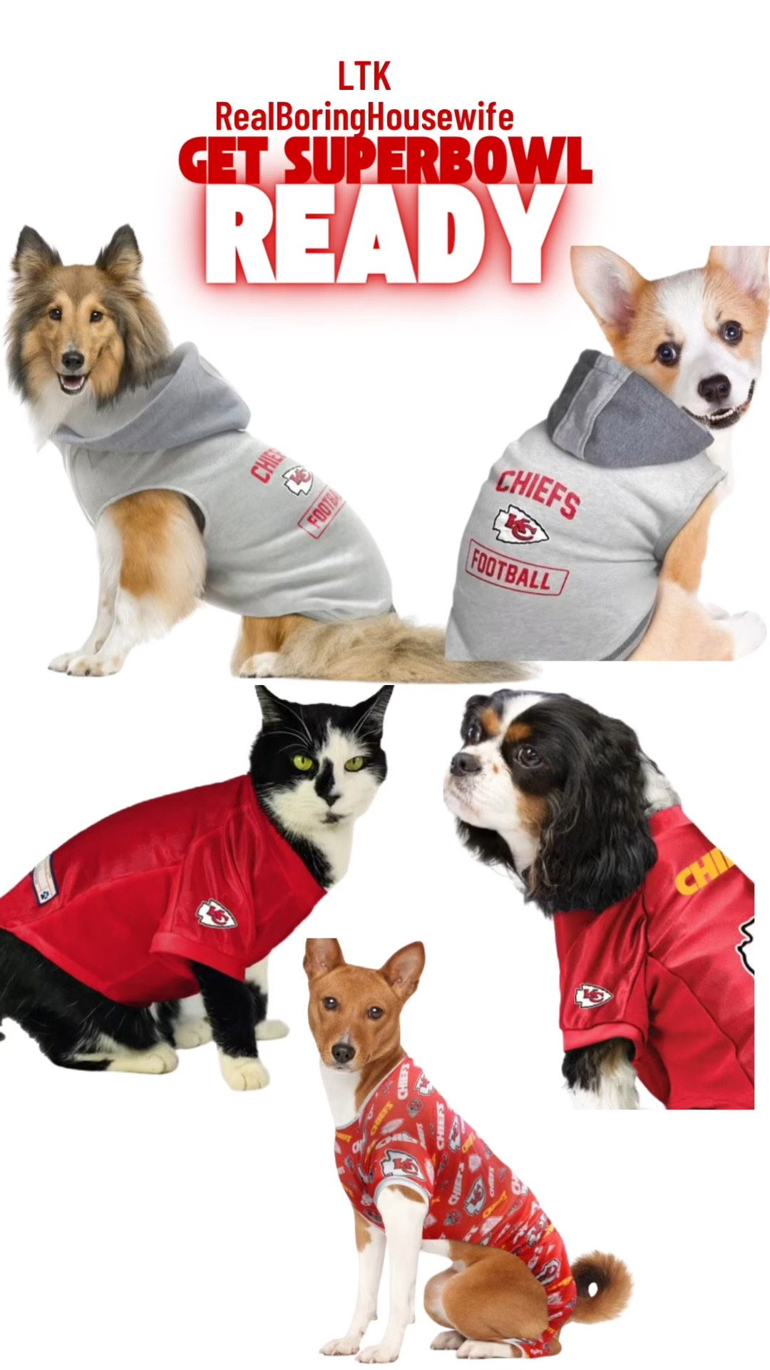 Get your dogs and cats Super Bowl chic! 

#Superbowl

#LTKWatchNow #LTKFindsUnder50