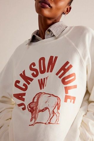 Jackson Hole Crewneck | Free People (Global - UK&FR Excluded)