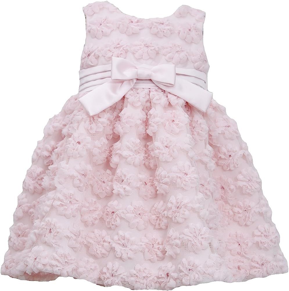 Amazon.com: Bonnie Jean Girls 2T-4T Light Pink Mesh Flower Bonaz Special Occasion Dress, 2T: Clot... | Amazon (US)