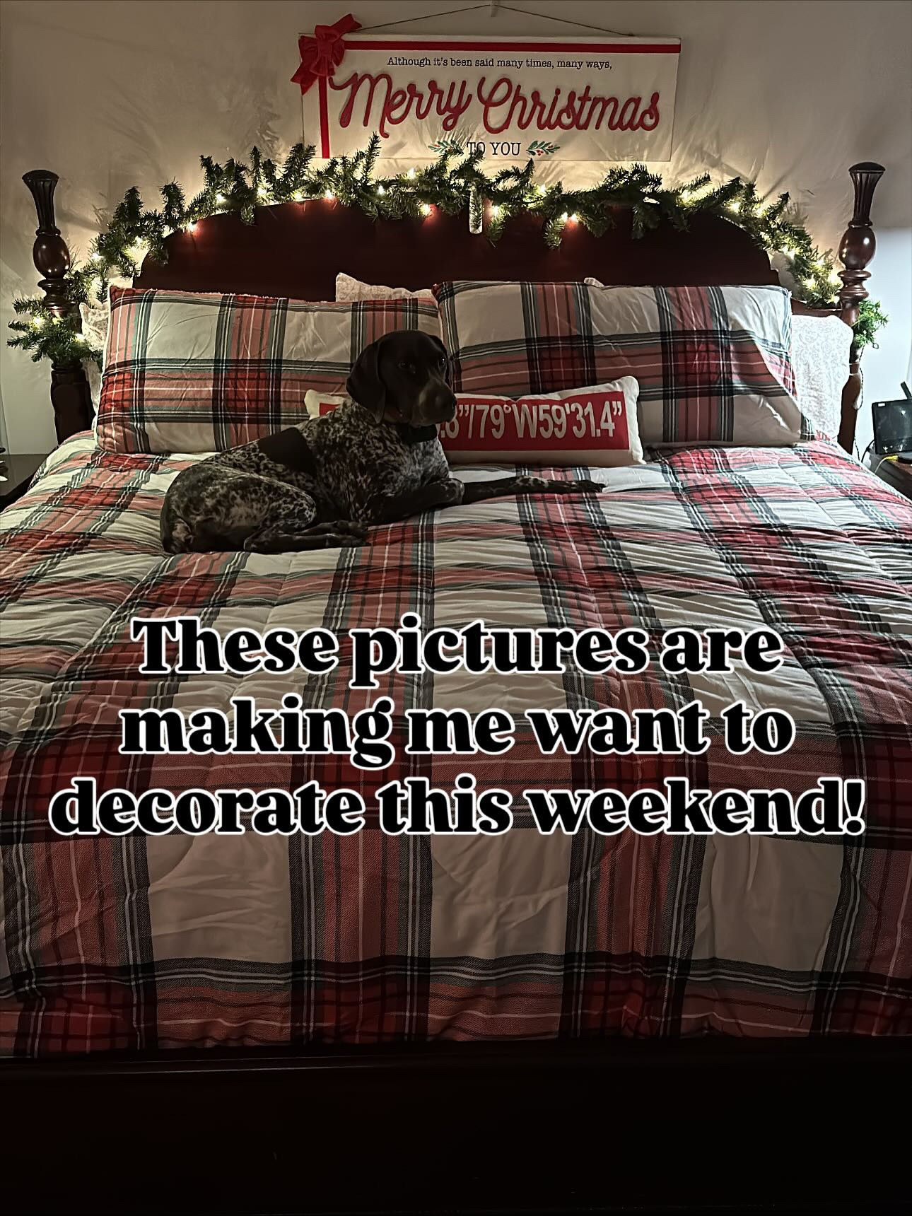 Have you decorated yet?? 🎄

I linked everything I could from Christmases past that we love! Stay tuned for more of this years fun finds! 