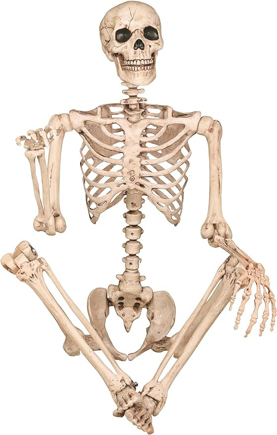 Crazy Bonez Pose-N-Stay Life Size 5 FT Skeleton with Realistic Posable and Movable Joints for Hal... | Amazon (US)