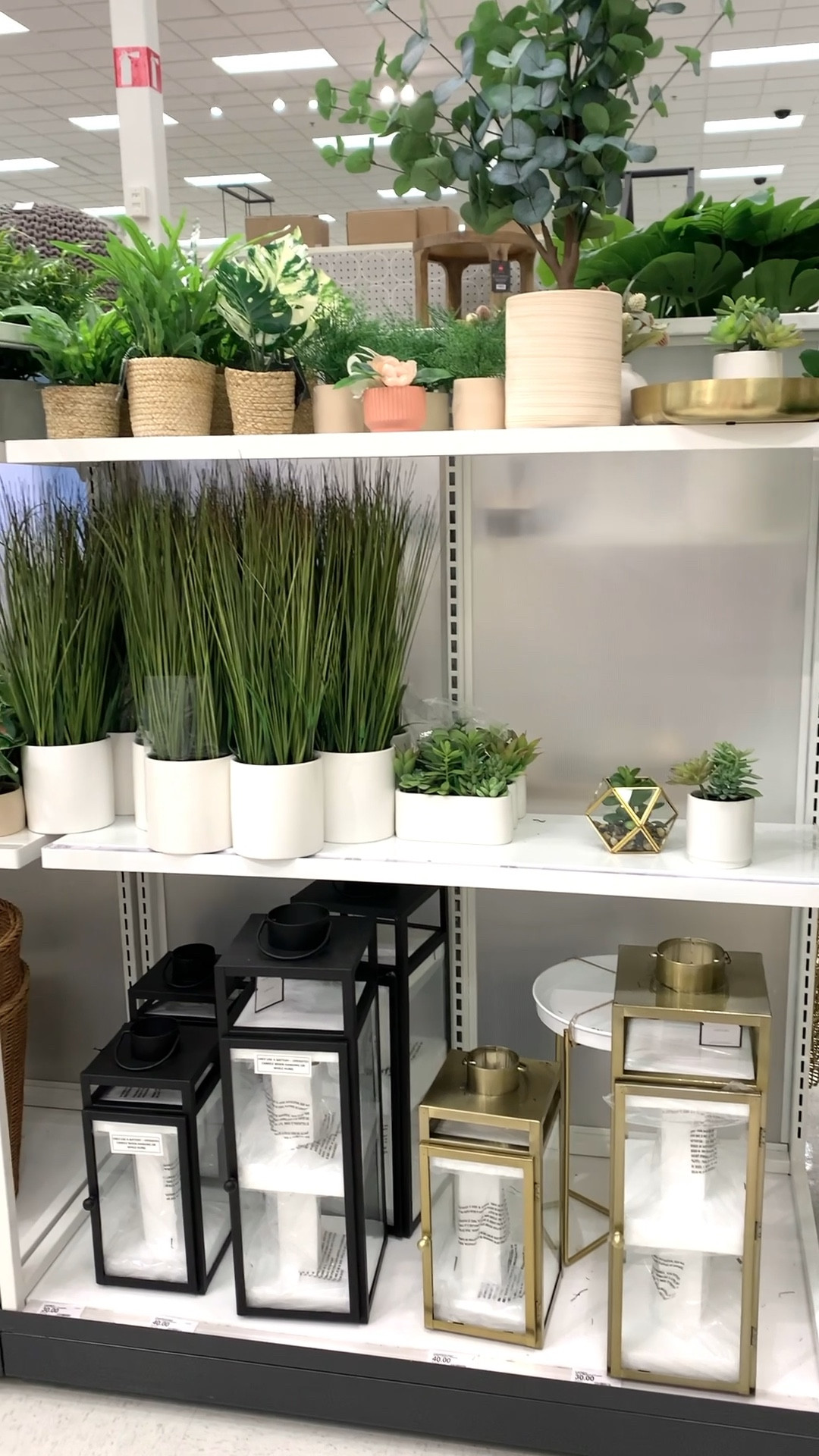 Target home finds
Lantern
Faux plant
Potted grass
Indoor decor
Outdoor decor


#LTKSeasonal #LTKhome