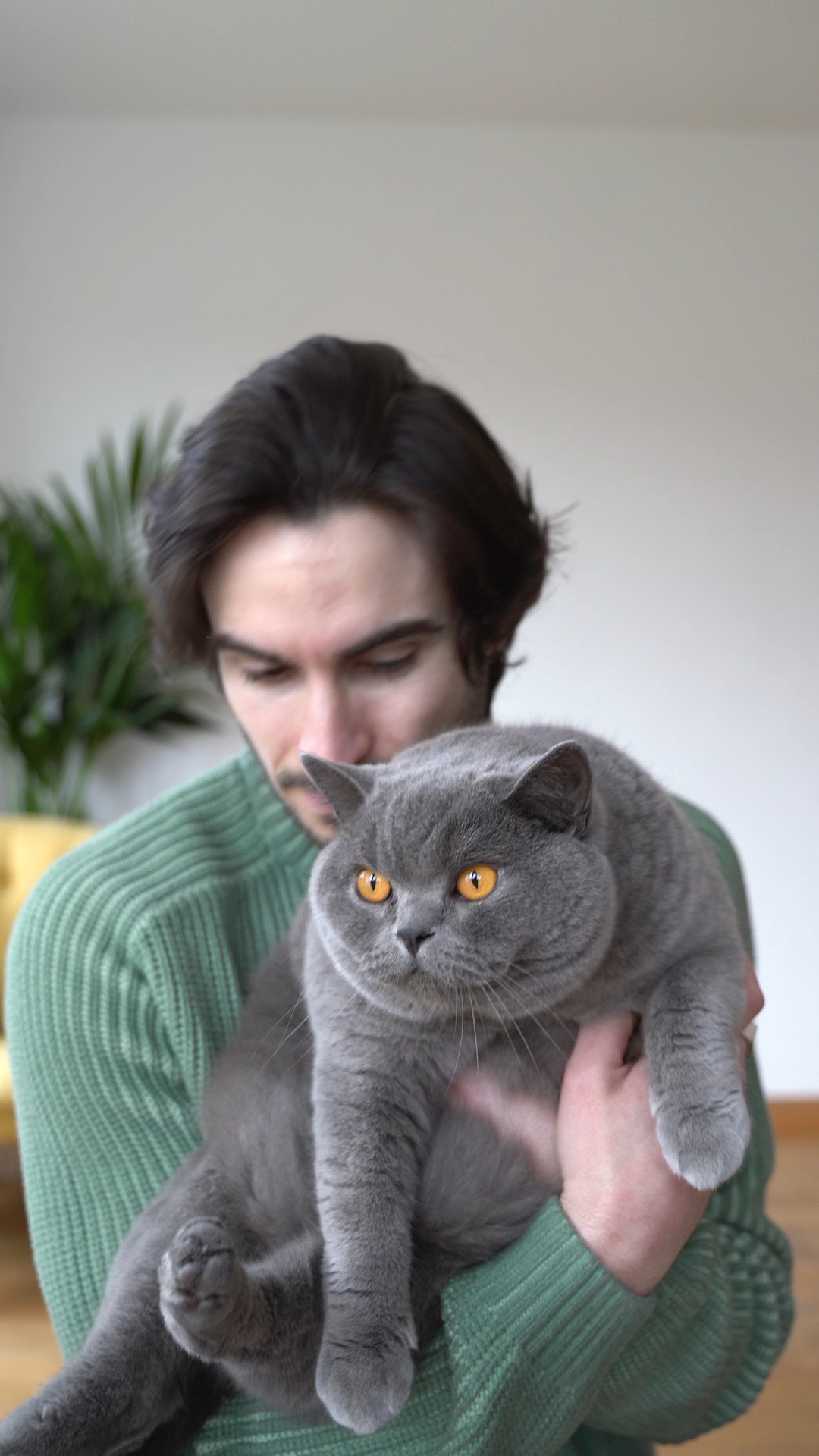 Green Ronning knit 
Black jeans 
Viron boots

#LTKSeasonal #LTKmens #LTKeurope