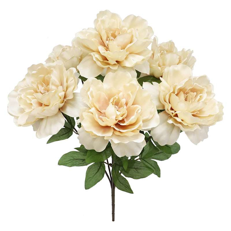 White Peony Bush, 20" | At Home