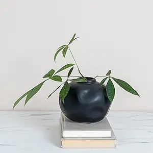 Creative Co-Op Pinched Organic Shape Terracotta, Matte Black Vase | Amazon (US)