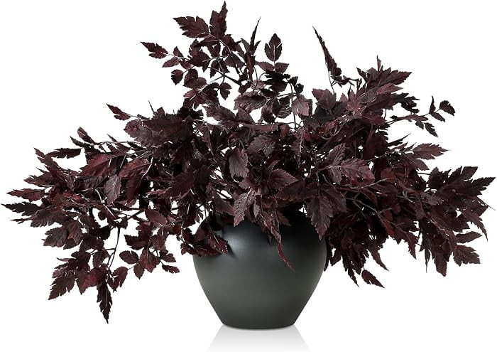 Lyrow 10 Pack 18 Inches Artificial Cimicifuga Plum Leaf Spray, Fall Stems | Amazon (US)