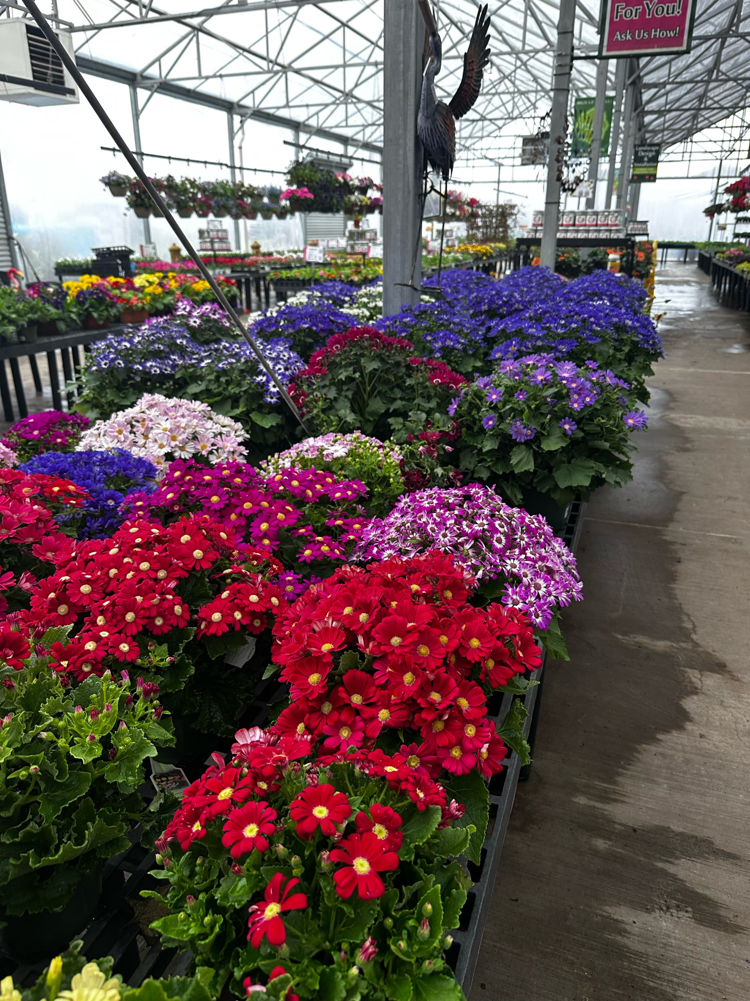 Spring home refresh items from Amazon!

#LTKHome #LTKFindsUnder100