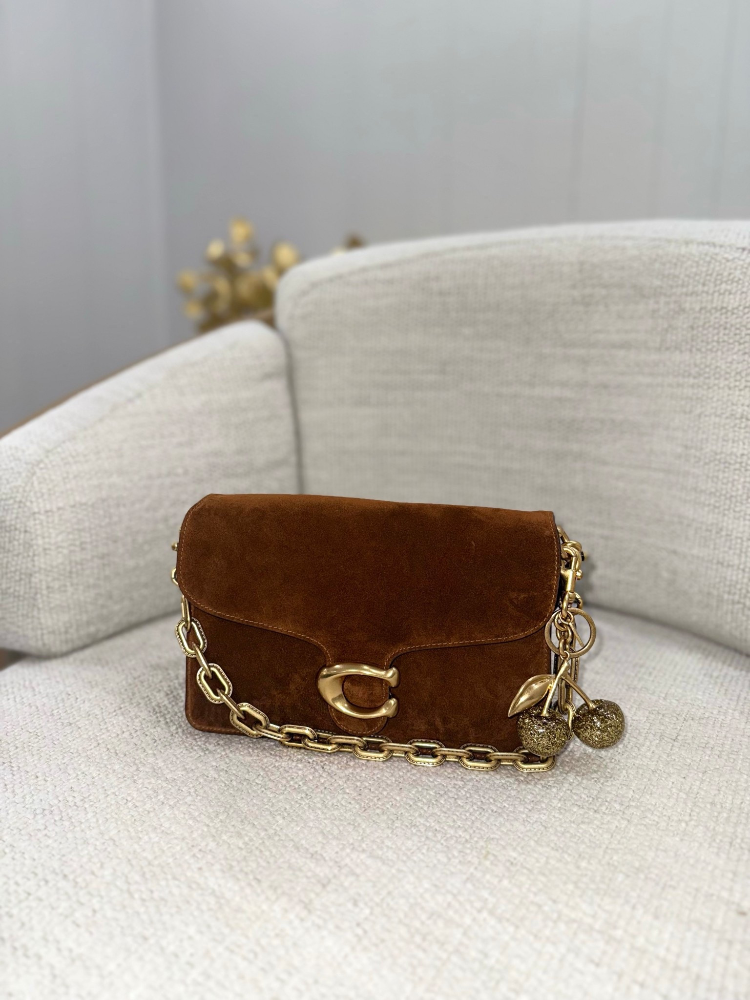 Coach tabby suede 
Cutest Fall Bag🍂