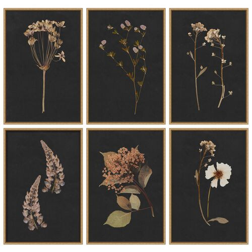Lauren Liess, Moody Botanical Set | One Kings Lane