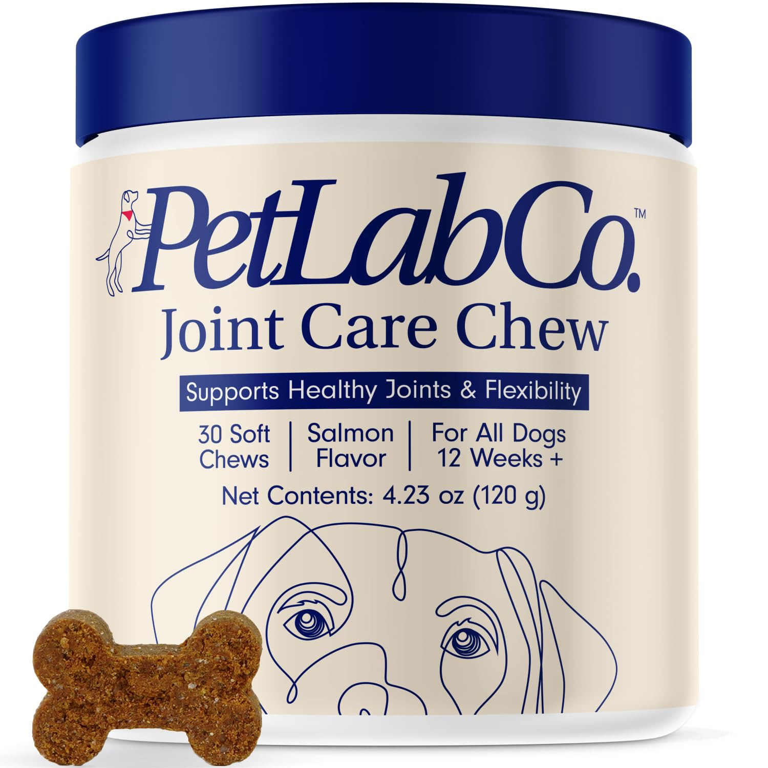 PetLab Co. Joint Care Chews - High Levels of Glucosamine for Dogs, Green Lipped Mussels, and Omeg... | Amazon (US)