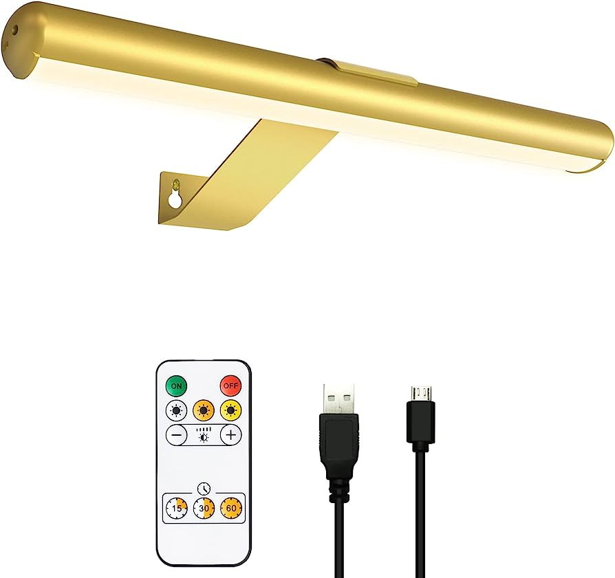 TINTINDOC Picture Light Rechargeable Wireless Painting Lights with Remote Control, Battery Operat... | Amazon (US)