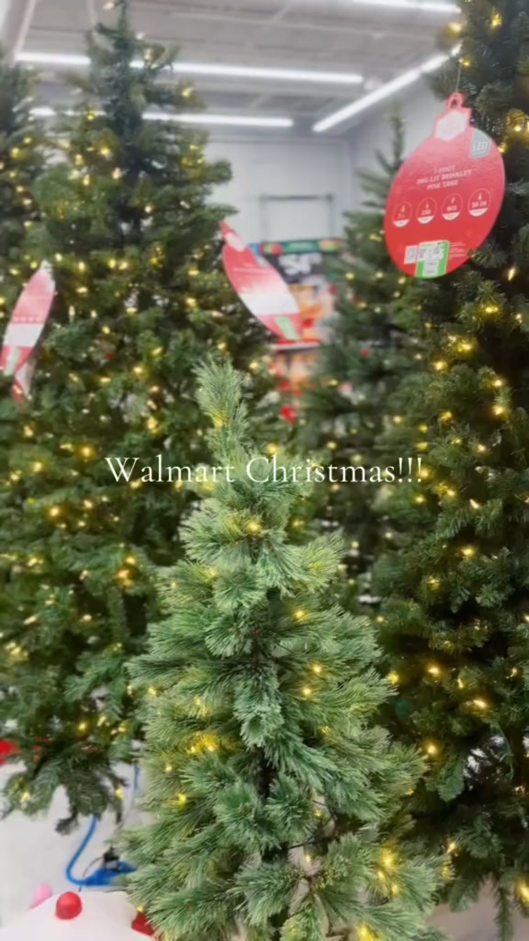 Walmart Christmas is 10/10 
🎄🎅🏼❤️

#walmartchristmas
#walmartfinds
#walmartdecor
#walmartchristmasdecor
#walmarthome
#walmartholiday
#walmartseasonal
#christmasatwalmart
#walmartmusthaves
#walmartfavorites
#budgetchristmasdecor
#holidayhome
#holidaydecor
#cozychristmas
#christmasinspo
#festivefinds
#decorateforchristmas
#southernhome
#classicchristmasstyle
#fyp #roadto5k #creatorinsights

#LTKHome #LTKSeasonal #LTKHoliday
