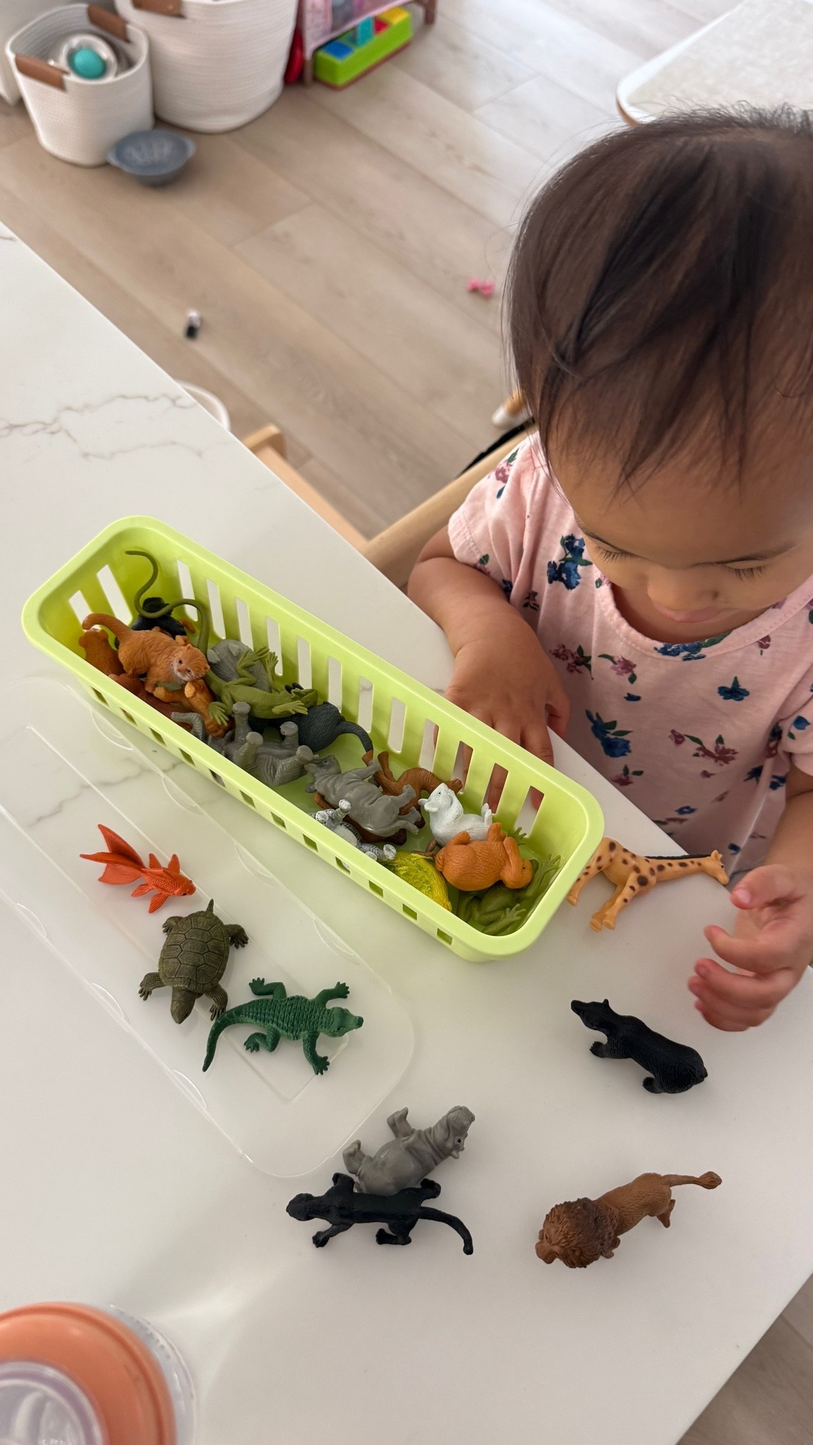 safari animal & household animal figurines! 🐶🐰🐢🐠 @safariltd #toddlertoys #toddlerfinds #toys

#LTKmomlife #LTKKids #LTKHome