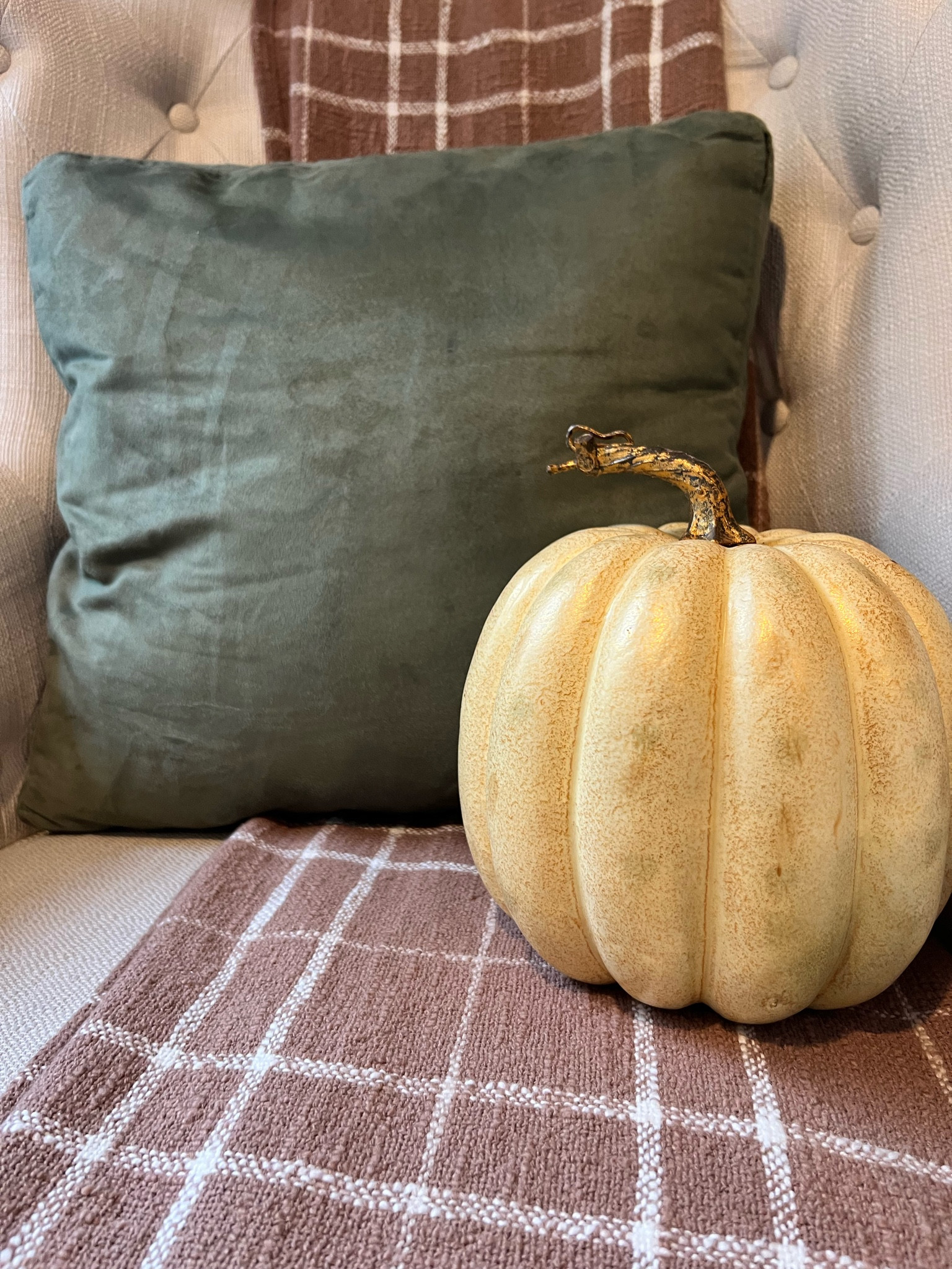 Fall Home Decor 

#fall #home #seasonal #green #neutral

#LTKSeasonal #LTKhome #LTKfindsunder50