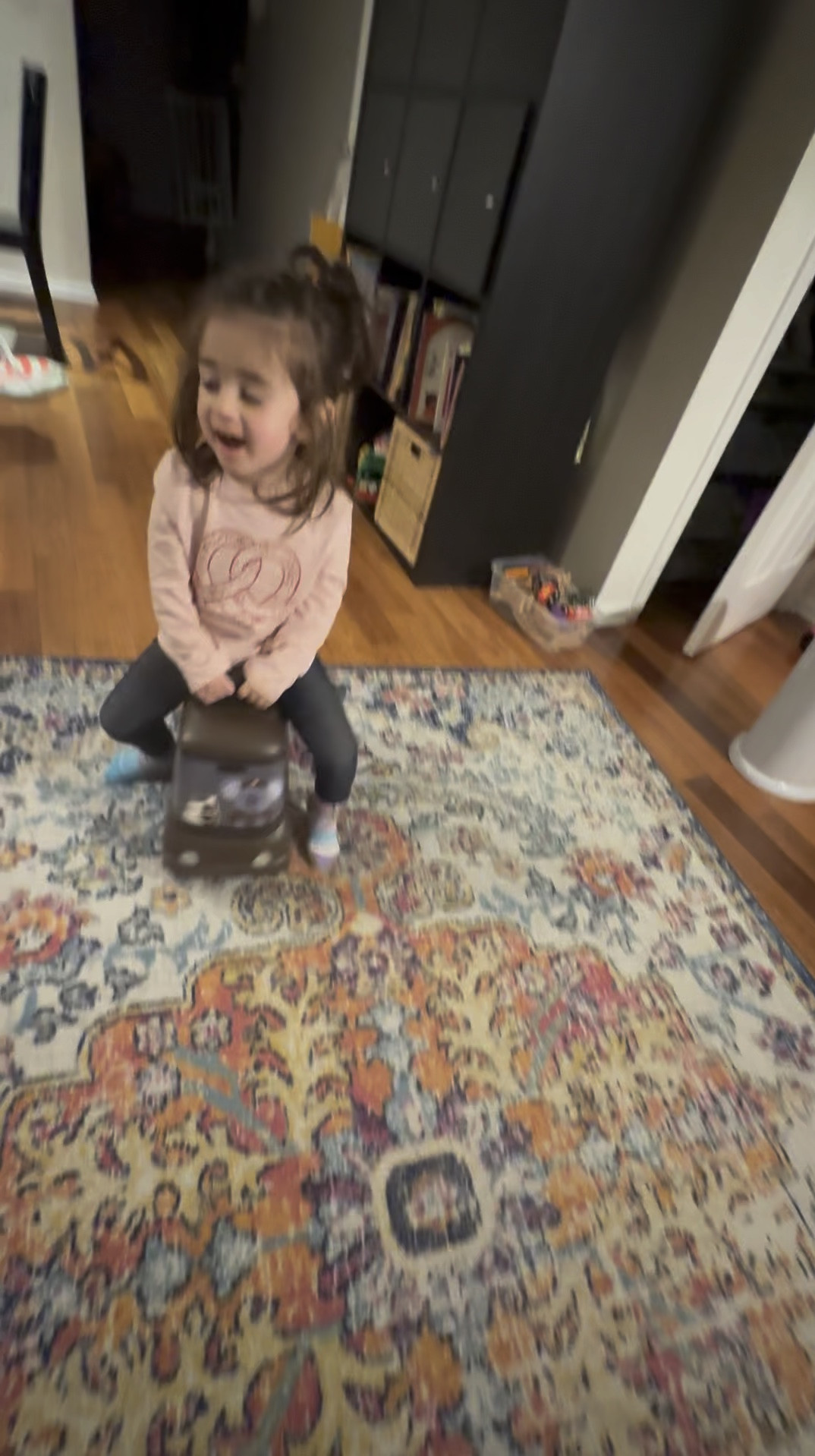 Amazing holiday gift! Comes with boxes inside  