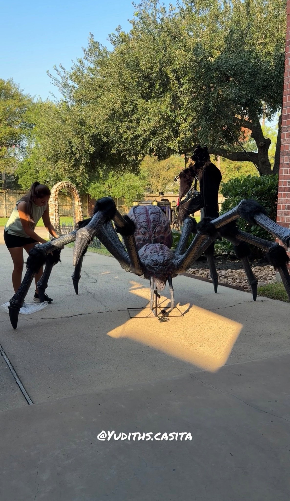 #LTKHome #LTKSeasonal #LTKHalloween