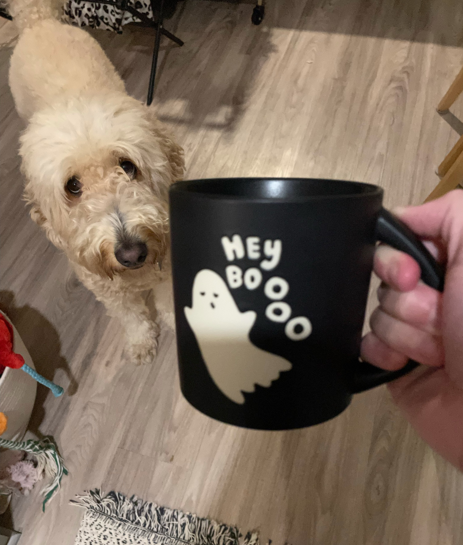 Fall mugs at target are my weakness and they have some cute ones this year! 
Only $5!  
Fall, fall decor, hey boo, fall mugs, hostess gift, fall gifts, mug, $5 mug, gifts under $5, pumpkin mug, pumpkin shaped mug, 

#LTKSeasonal #LTKhome