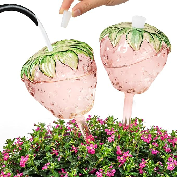 Strawberry Plant Watering Globes Set of 2, Large Water Bulbs for Indoor Plants, Glass Self Wateri... | Amazon (US)