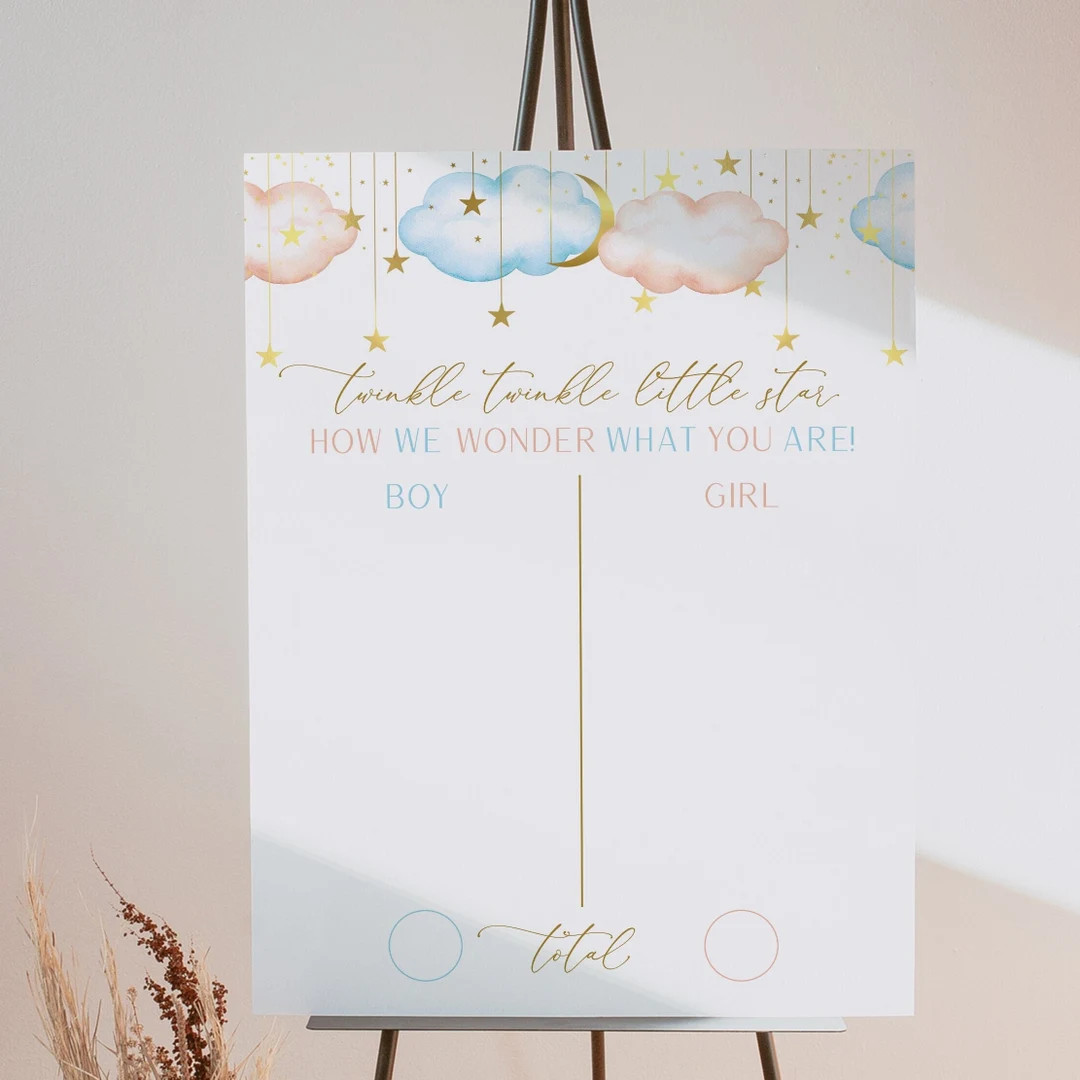 Gender Reveal Voting Sign, Blue and Pink Sign, Twinkle Twinkle Little Star Sign, Instant Download... | Etsy (US)