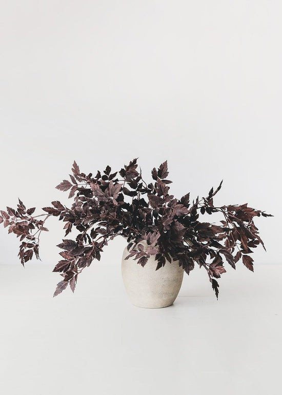 Plum Fake Cimicifuga Ramosa Leaves - 31 | Afloral (US)