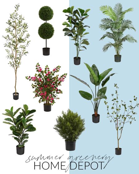 I have found so many incredible faux trees lately and love how they look in our home! Several of these are indoor/outdoor options so you can use them everywhere from your living room to your patio, and a few are on sale right now! They all add fresh life and color to your home for the summer months and into other seasons!

 #TheHomeDepot #KickstartSummer #ltkhome #lktseasonal #ltksalealert faux greenery, summer plants

#LTKhome #LTKsalealert #LTKSeasonal