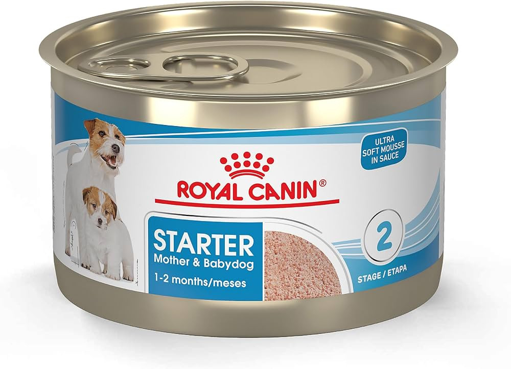 ROYAL CANIN Size Health Nutrition Starter Mother & Babydog Mousse in Sauce Dog Food, 5.1 oz (Pack... | Amazon (US)