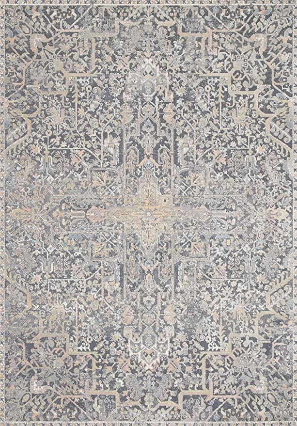 Loloi II Lucia Collection LUC-02 Charcoal / Multi, Transitional 9'-3" x 13'-3" Area Rug | Amazon (US)