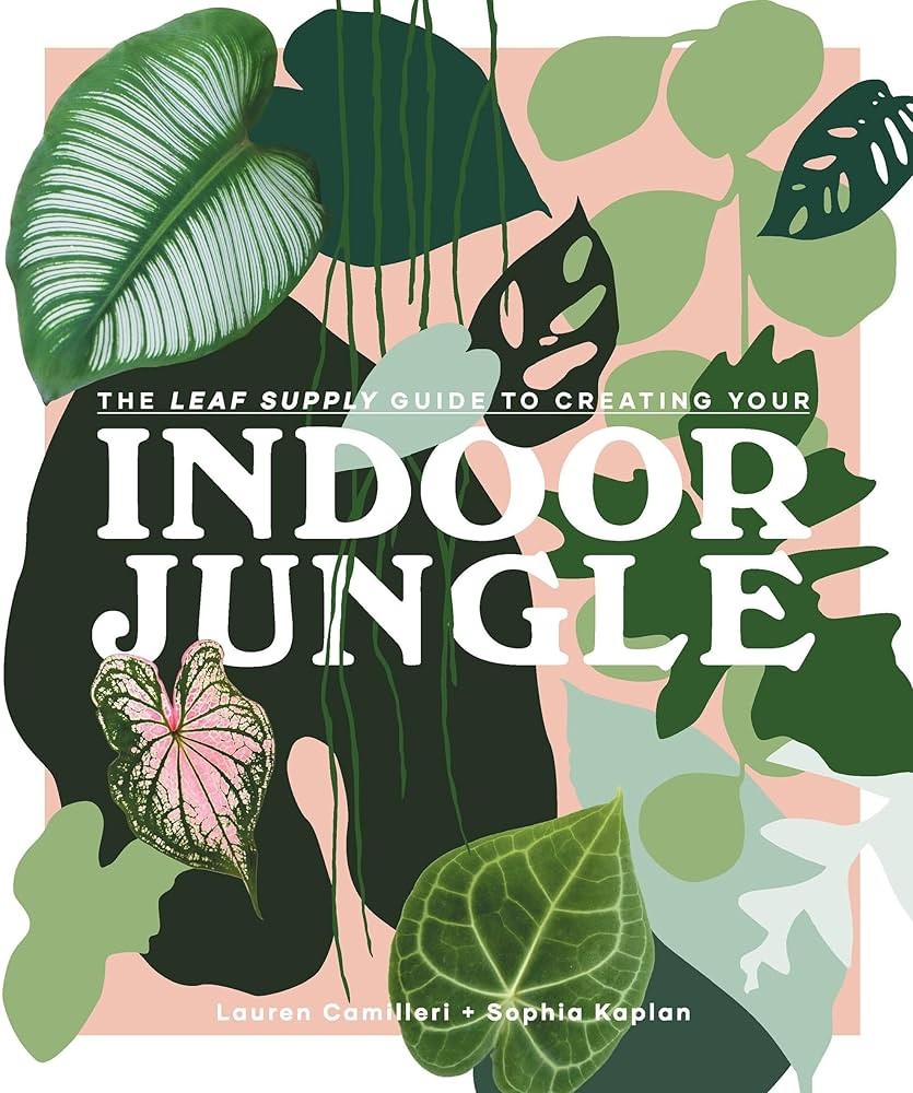 The Leaf Supply Guide to Creating Your Indoor Jungle | Amazon (US)