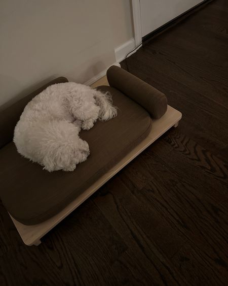 Dog Bed

#LTKhome #LTKGiftGuide #LTKfamily