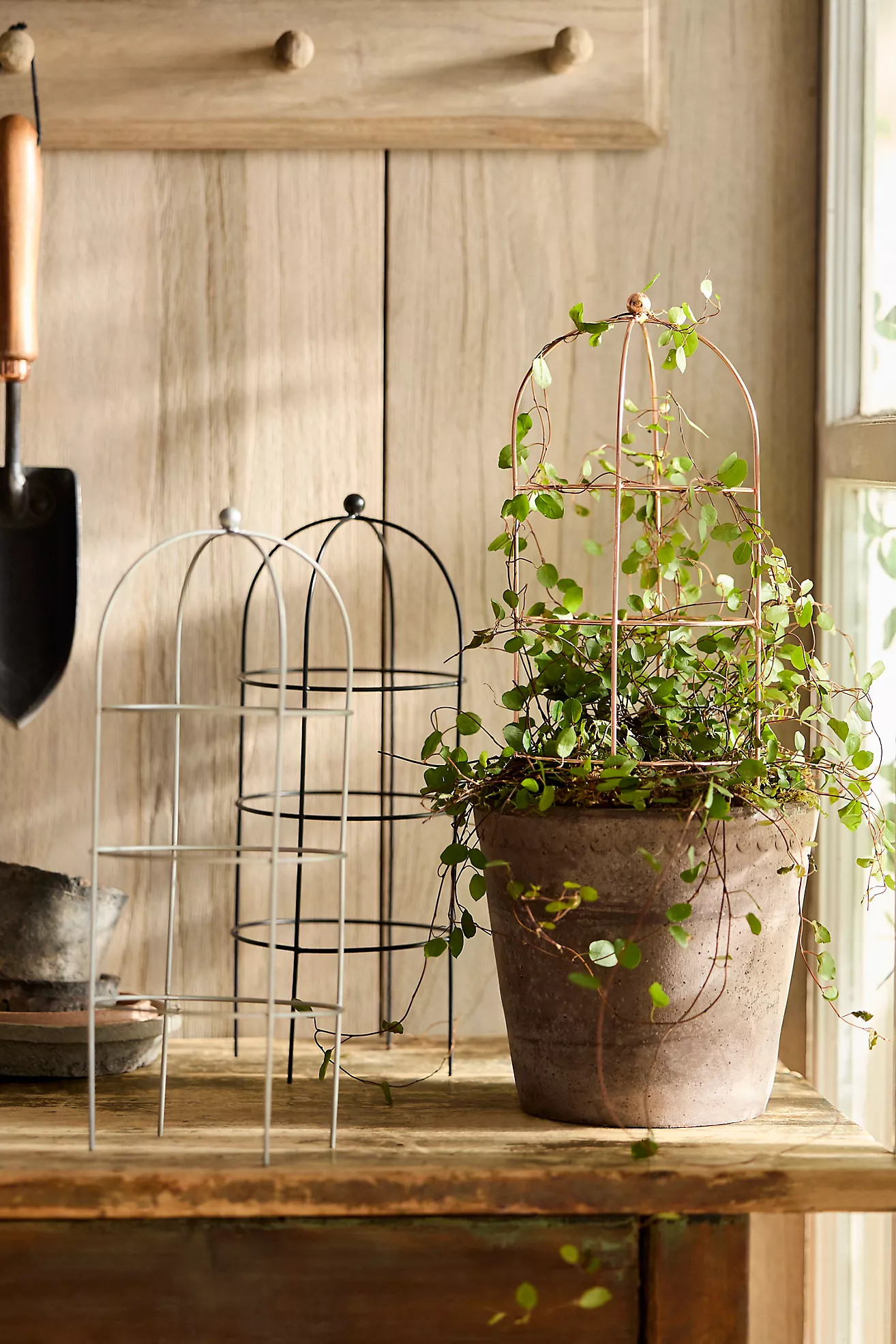 Domed Cylinder Iron Mini Trellis | Terrain