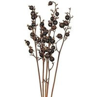 Black Berry Dried Flower With Stems, Flower, Home Décor, Wedding Arrangement | Etsy (US)