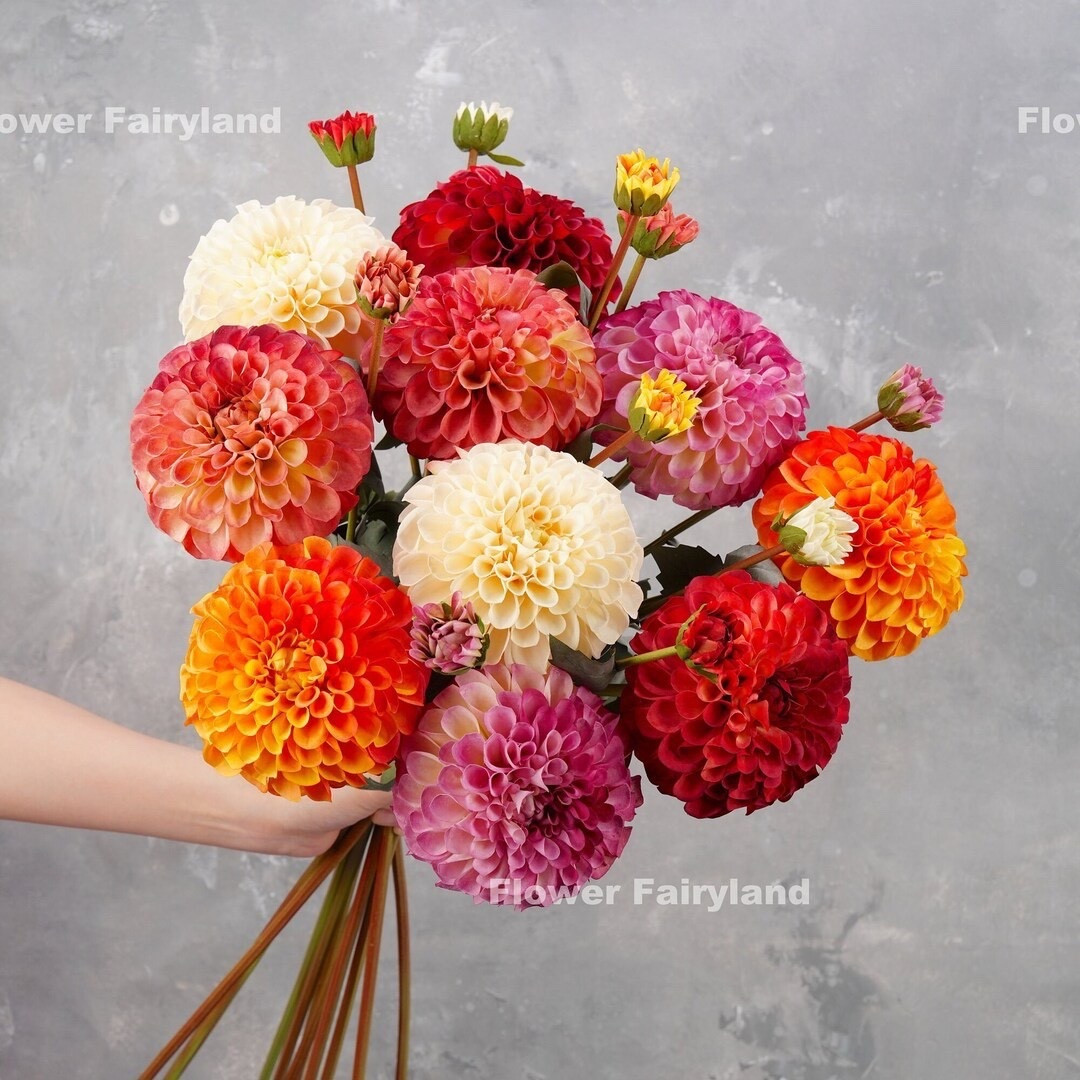 Elegant, lifelike, and made to stand out ✨ This silk floral stem is beautifully crafted with rich color and realistic details that instantly elevate any craft or décor project. Each piece is quality-checked for confidence, and the adjustable stem can be bent or trimmed to fit your exact vision. At 31.5” tall with a generously sized bloom, it’s perfect for statement vases, DIY arrangements, and creative styling—just add your own touch.

#LTKhome #LTKcrafts #LTKdecor #fauxflorals #silkflowers #diydecor #craftsupplies #vasedecor #floraldesign

#LTKHome #LTKSeasonal #LTKWedding