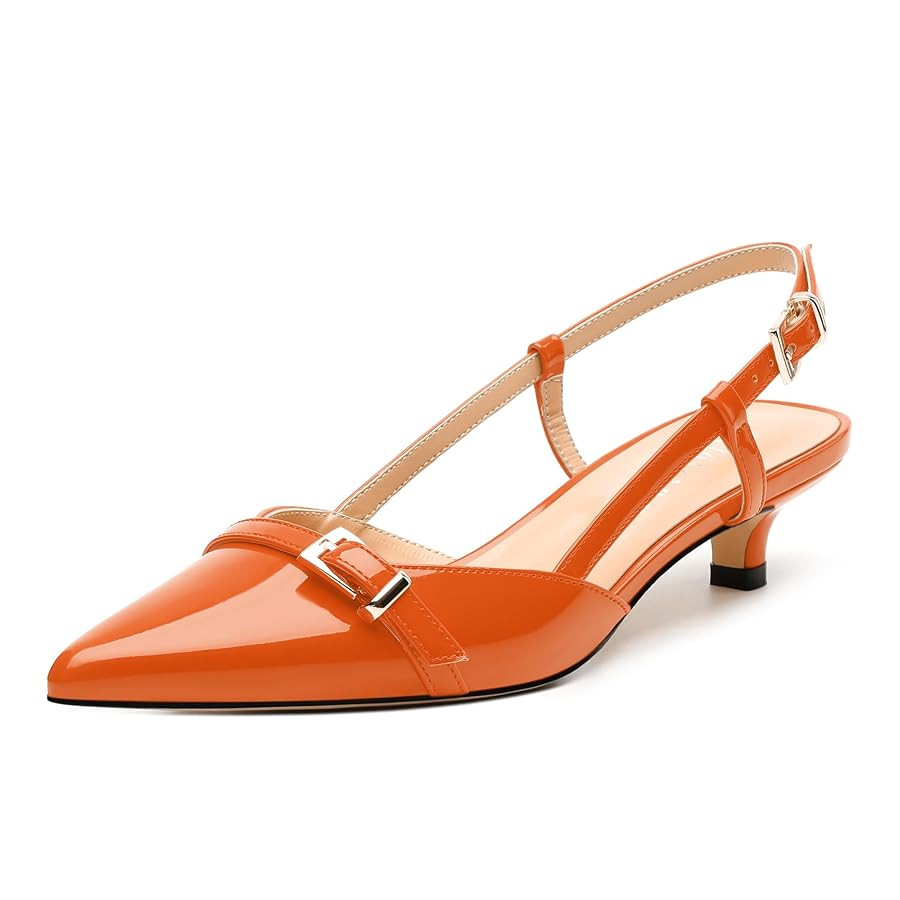 Women's Pumps, Closed Pointed Toe Slingback Heels, Ankle Strap Buckle Fashion Kitten Heel Shoes f... | Amazon (US)