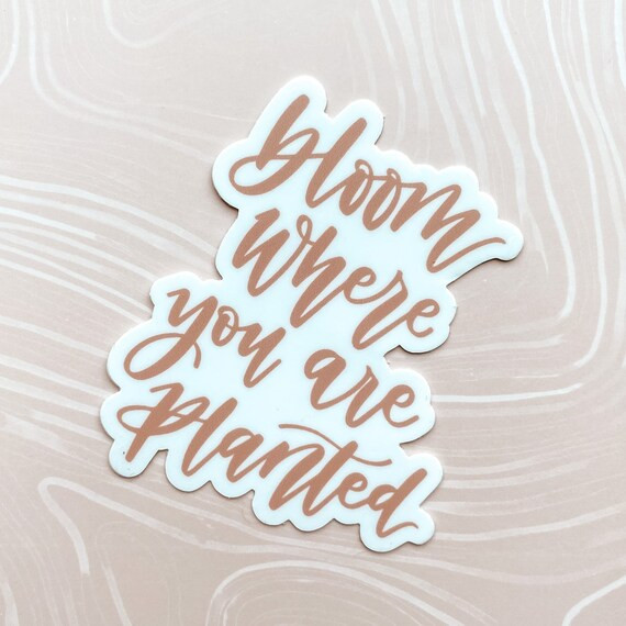Bloom Where You Are Planted Sticker | Quote Sticker | Laptop Decal | Laptop Sticker | Etsy (US)