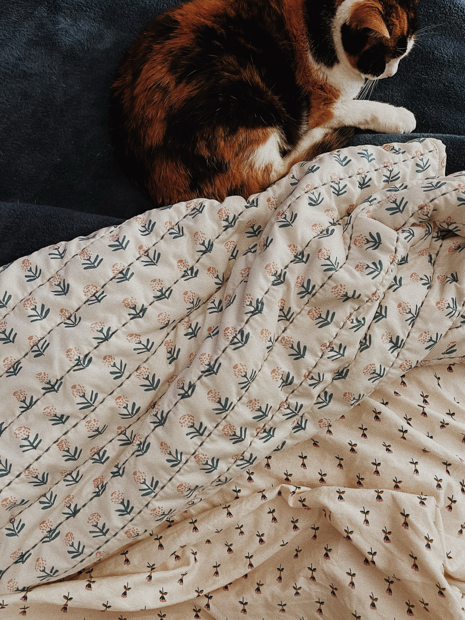 Spring bedding faves

#LTKhome #LTKSeasonal #LTKSpringSale