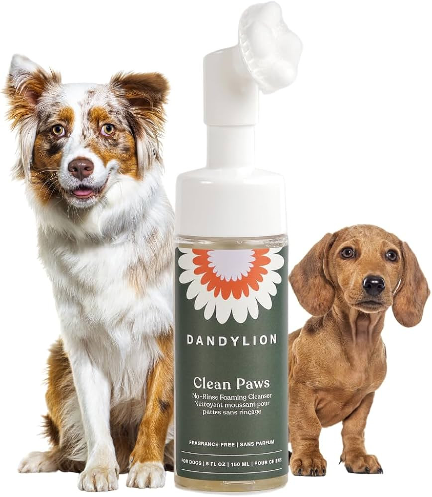 Dandylion Clean Paws | No-Rinse Puppy Paw Cleaner & Dog Paw Wash | Gentle, Fragrance-Free, pH Bal... | Amazon (US)