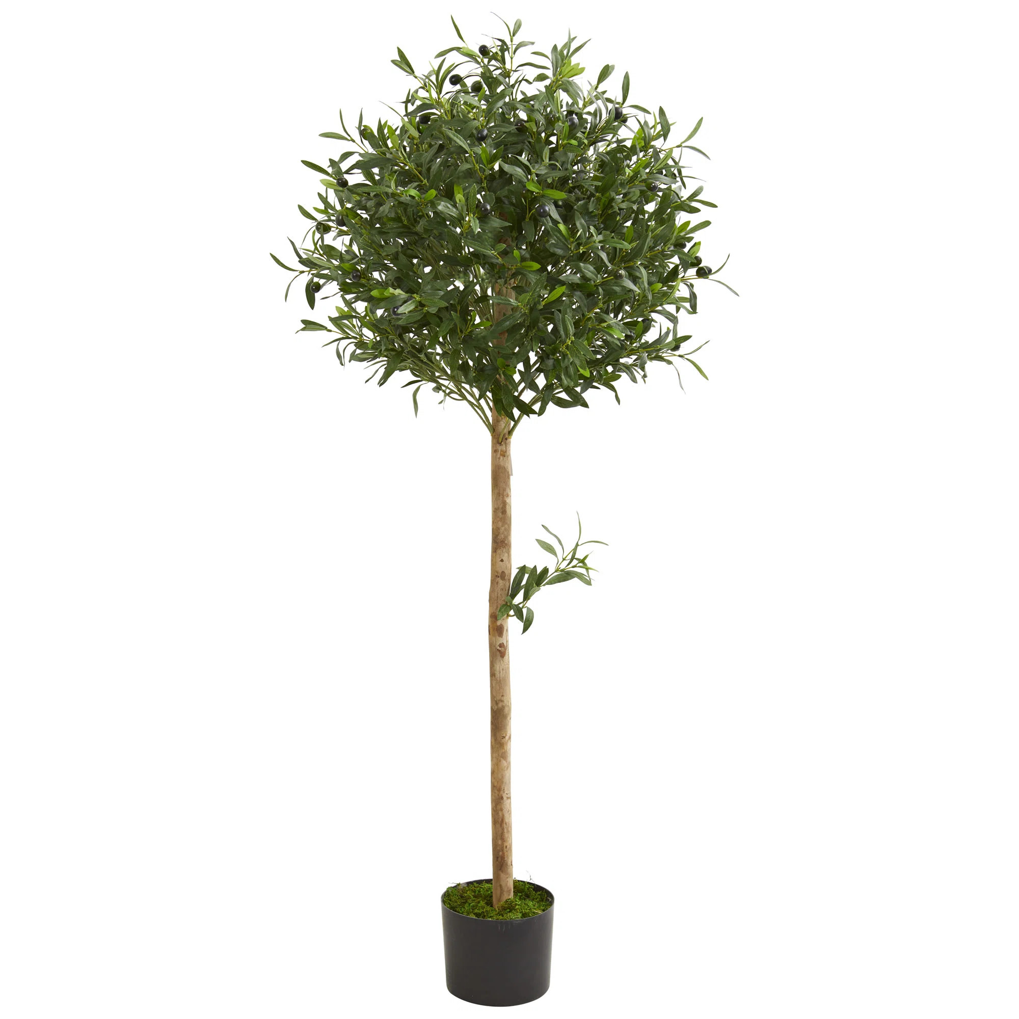 60'' Faux Olive Tree Topiary in Planter | Wayfair North America