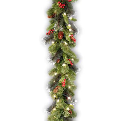 National Tree Company Outdoor Pre-lit Electrical Outlet 9-ft Spruce Artificial Garland with White... | Lowe's