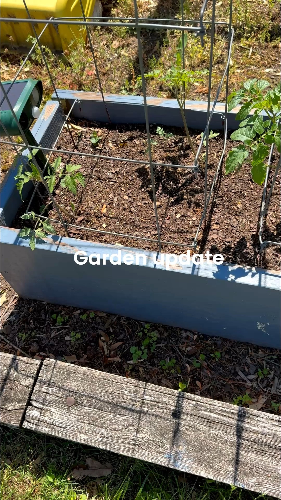 Garden update. We are just able to plant outside due to the weather.

#LTKSeasonal #LTKHome #LTKvlog