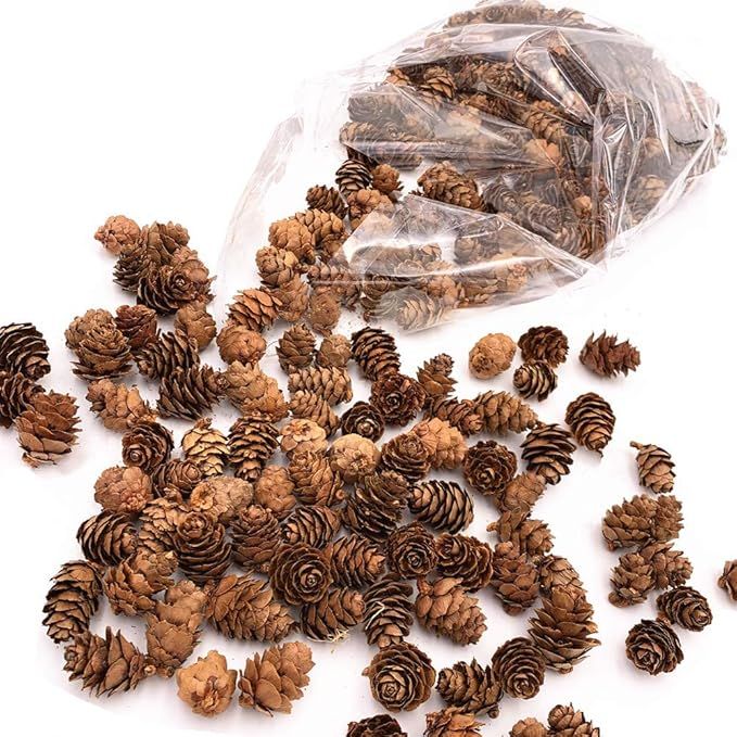 Floral Fantacy Spruce Pine Cones Vase Fillers, Table Scatter, Crafts 8-Ounce (Brown Pine Cones) (... | Amazon (US)