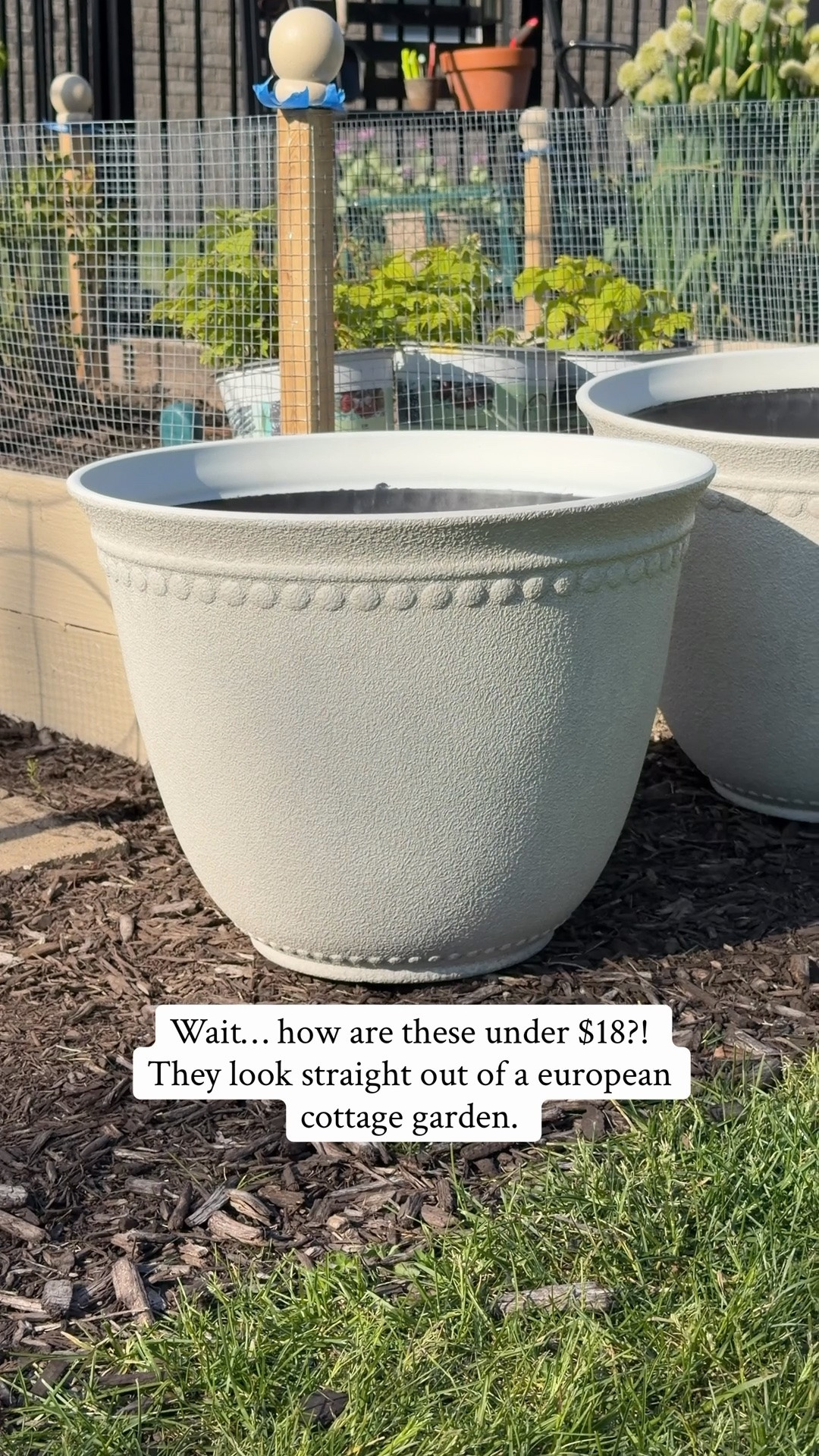 Under $18 and somehow they look like they belong in a European cottage garden. 

These faux concrete planters are such a good way to get that European cottage vibe without spending a lot. The texture, the tone, the details—everything about them feels elevated and timeless.

Perfect for styling porches, garden beds, or even indoors for that collected, old-world feel.

#LTKSeasonal #LTKHome