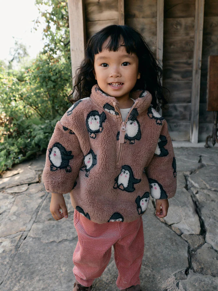 Brown Penguin Half Zip Fleece (3mths-7yrs) | Next US