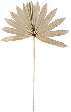 ELITE FLORAL (2 PC) Dried Palm Leaf Fan Decor Trimmed Palm Leaves (Spike Shape) Real Palm Spears ... | Amazon (US)